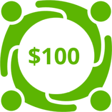 $100 icon